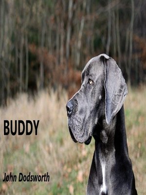cover image of Buddy